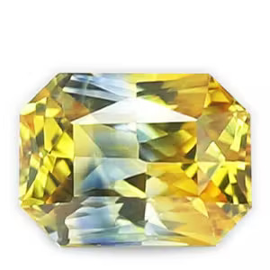 Pitambari Neelam Neelambari